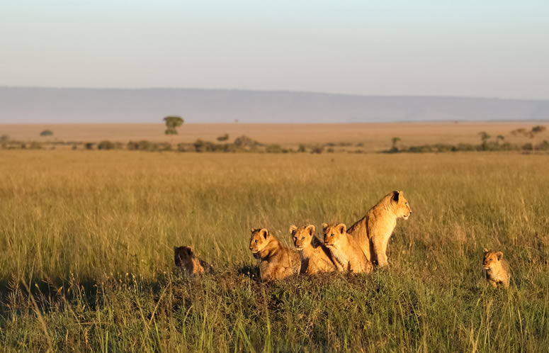 3 Days Lake Nakuru & Lake Naivasha Safari