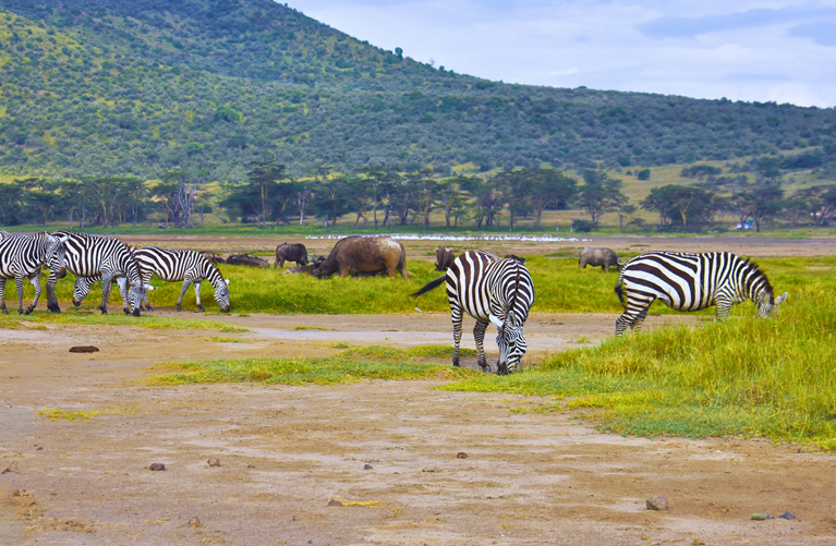 6 Days Kenya Honeymoon Safari