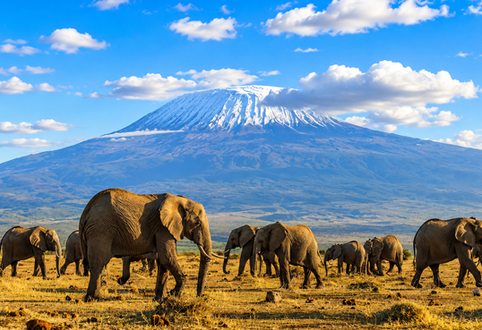 7 Days Amboseli Lake Naivasha and Masai Mara Safari