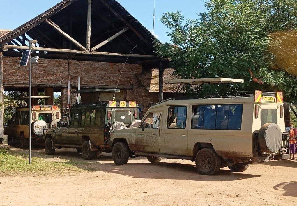 4x4 safari jeeps used for wildlife safaris