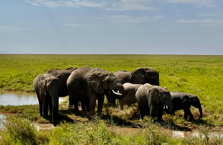 Nairobi to Amboseli National Park