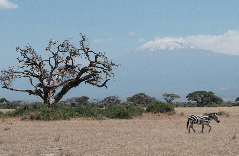 Amboseli to Masai Mara