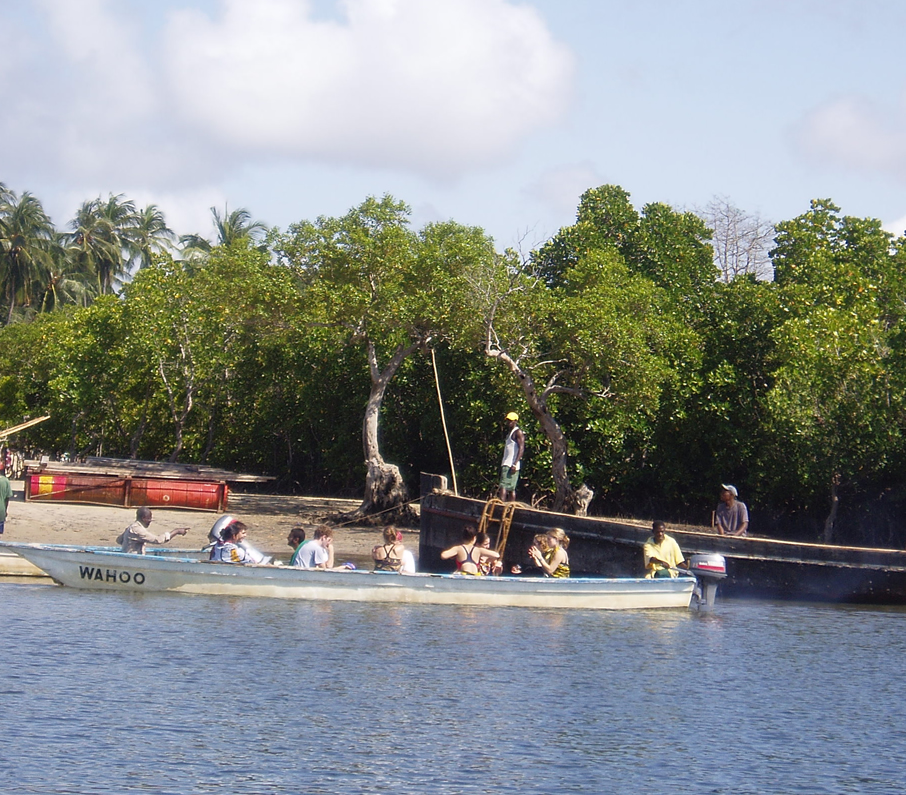 Mangrove Forests