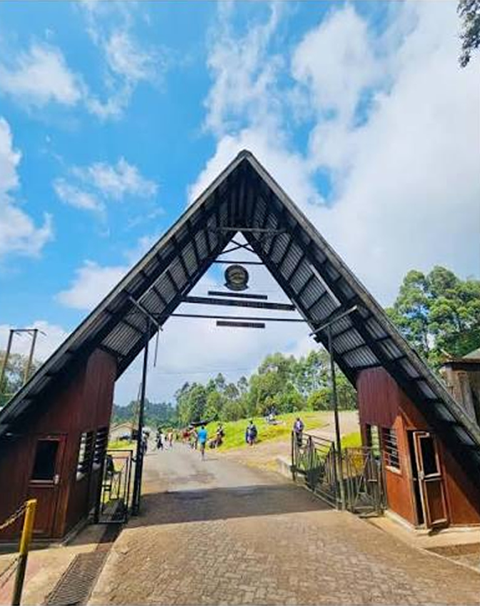 Machame Route on Mount Kilimanjaro