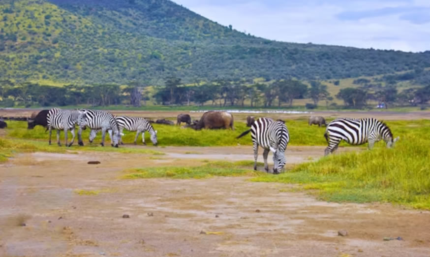 Viewpoint over Lake Nakuru National Park