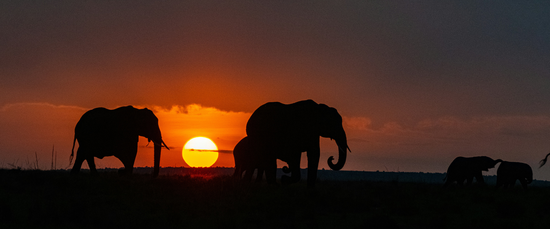 Sunset over Masai Mara National Reserve