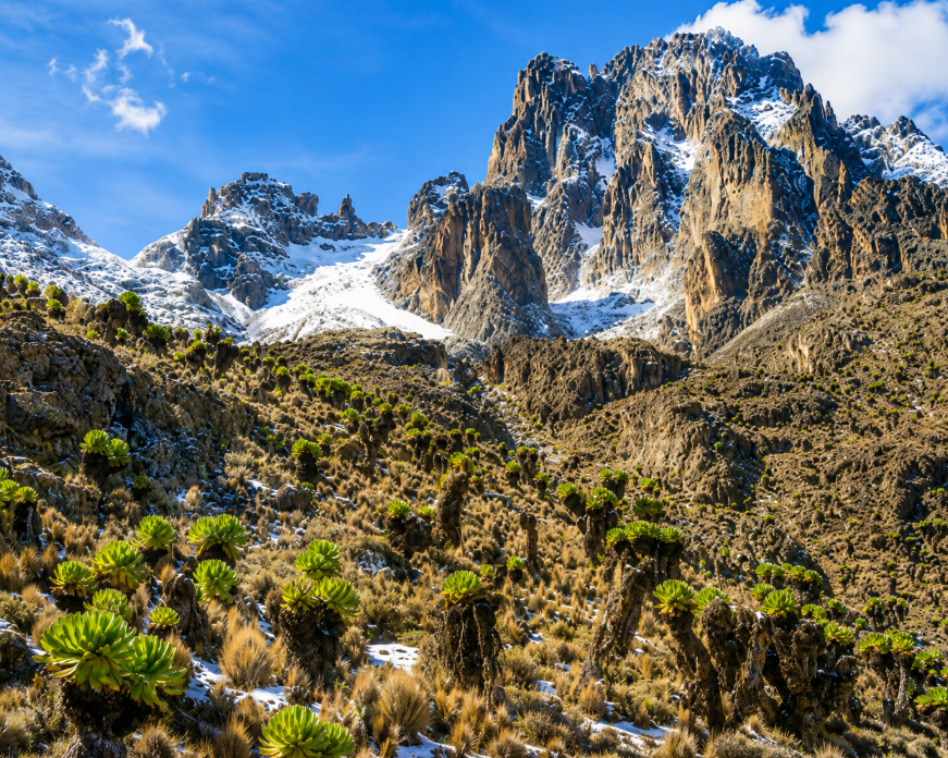 Mount Kenya Trekking Adventure