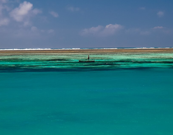 Robinson Island Tour