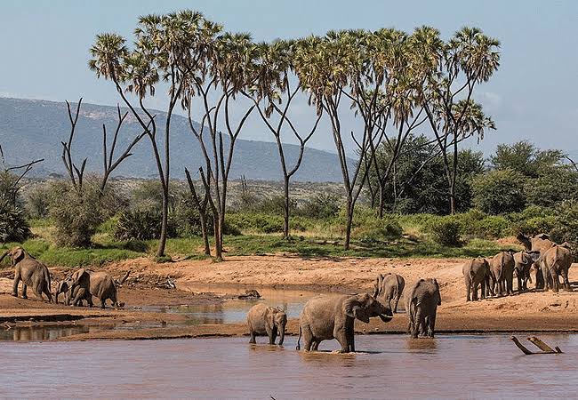 Ewaso Nyiro River