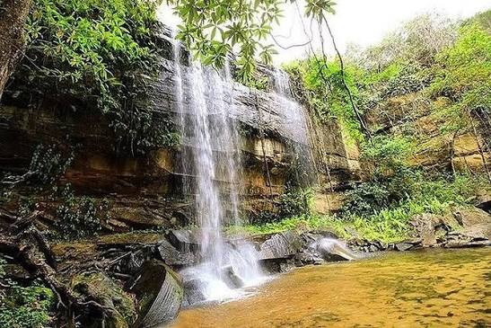 Shimba Hills National Reserve landscape and wildlife
