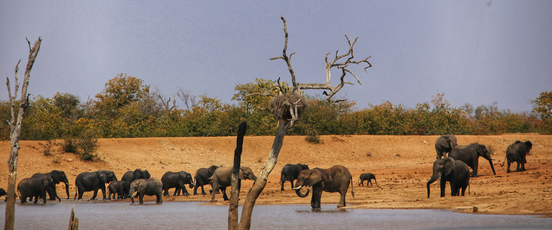 About Tsavo East National Park