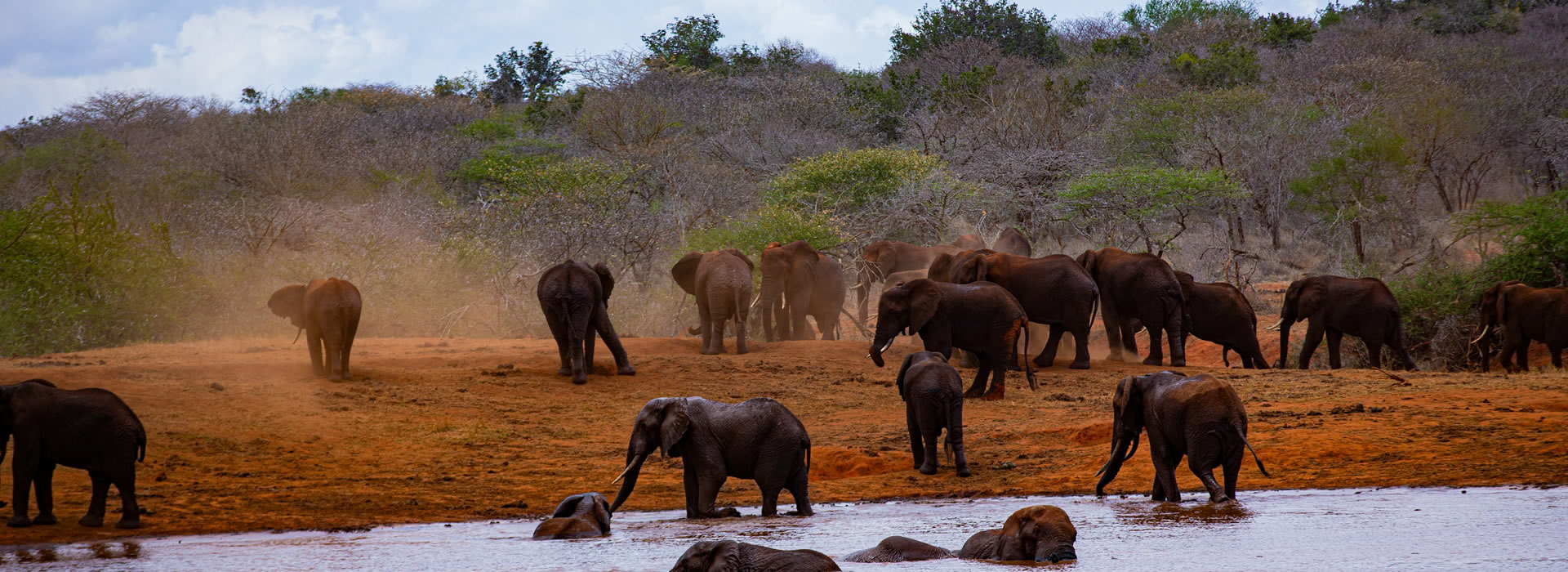 Safari Activities in Tsavo West