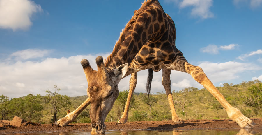 About Tsavo West National Park