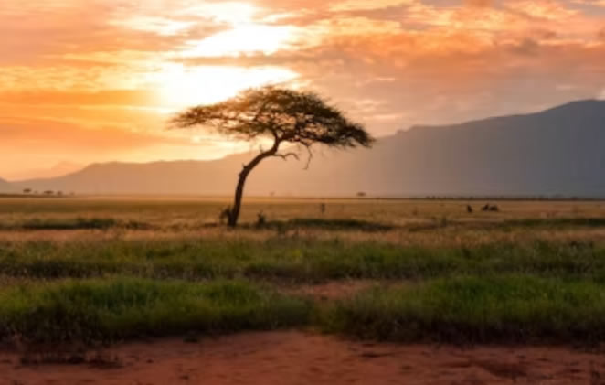 Sunset over Tsavo West National Park